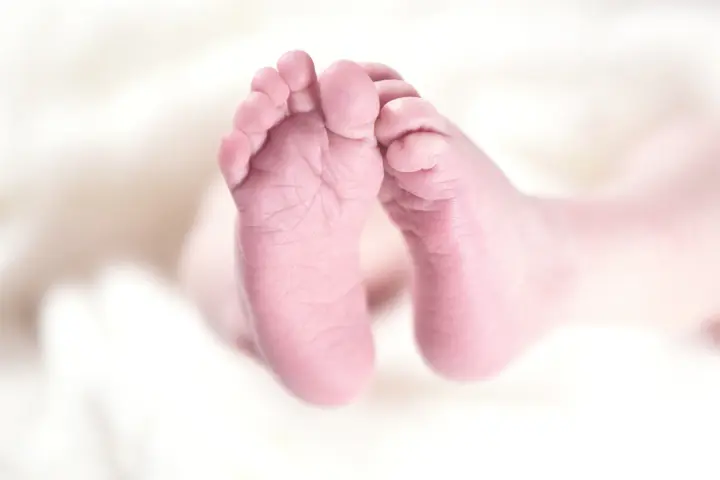 Смертність в Україні вчетверо перевищує народжуваність - дані за півріччя 2026 року