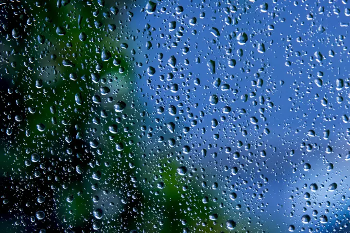 In Ukraine, on July 25-26, temperatures up to +29 degrees and rain are expected in some regions