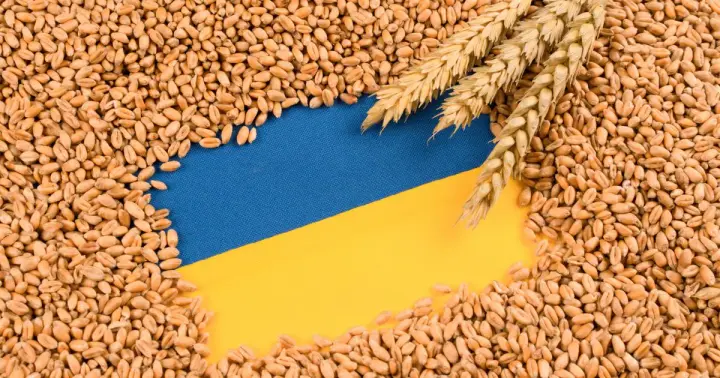 Zelenskyy announced an update to the grain export protection plan