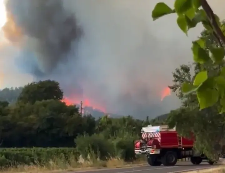 Brad Pitt and Angelina Jolie's winery in France threatened by forest fires