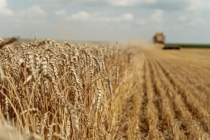 Koretskyi met with agribusiness representatives due to the intensification of russian terror at sea, preparing measures to support the industry