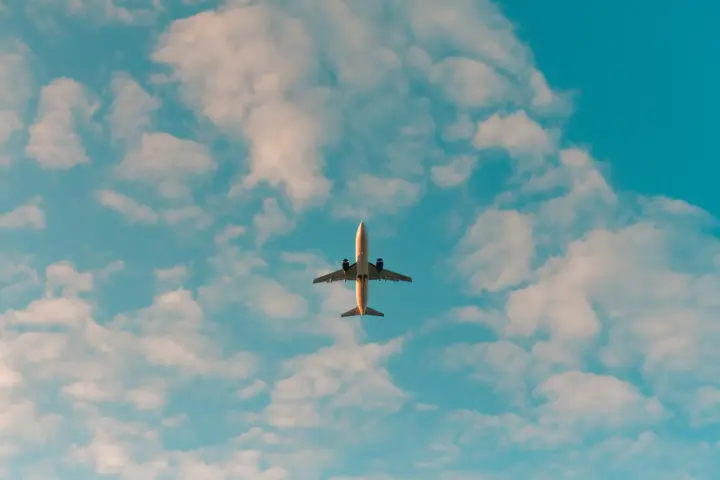 Equating leasing to royalties could hit the entire aviation industry: 86% of carriers' fleet is leased