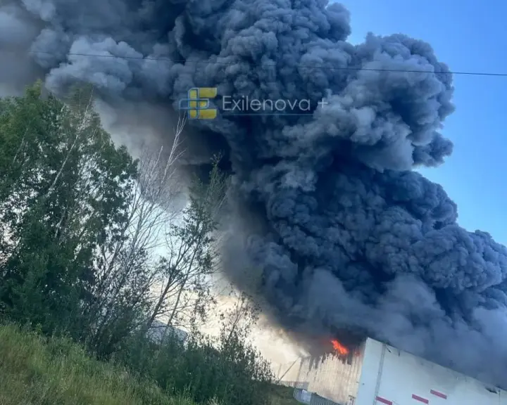 Відвідали 15 і спопелили 13: "Мадяр" підбив підсумки після ураження Wildberries під петербургом