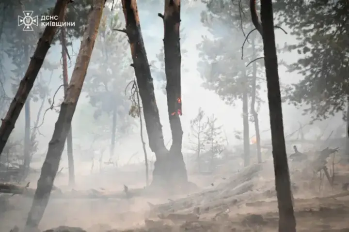 In a day, 14 forest fires occurred in Ukraine on an area of 12.3 hectares - the highest level of danger has been declared