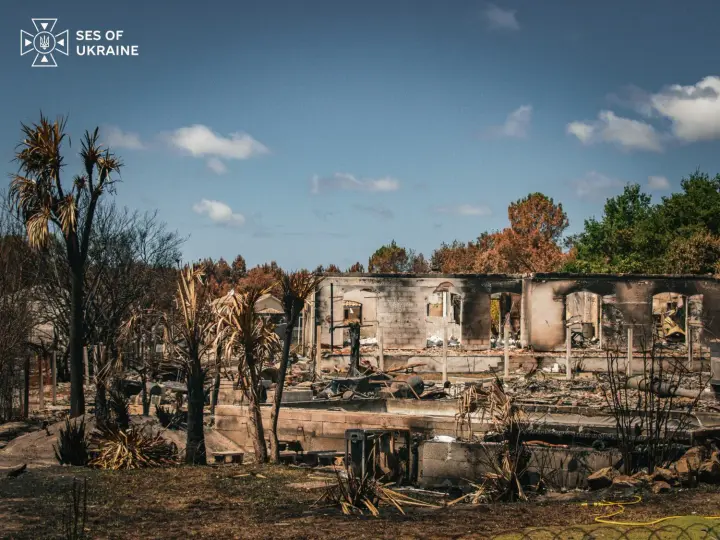 Charred trees and destroyed houses — Ukrainian rescuers showed the aftermath of the fires in France