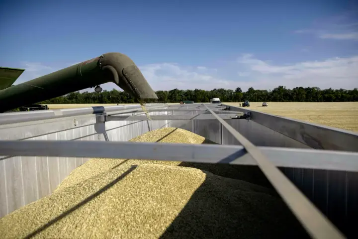 Експорт агропродукції з України може скоротитися на 54% через атаки на порти - Bloomberg