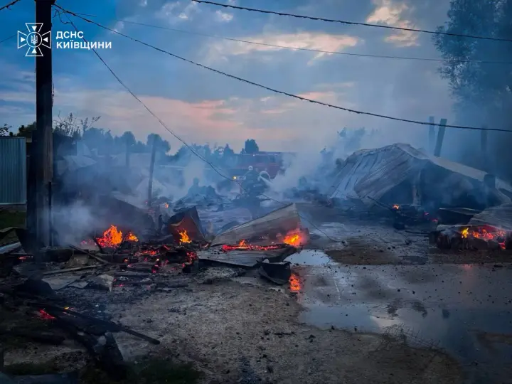 Fire at animal shelter in Kyiv region destroyed 20 enclosures