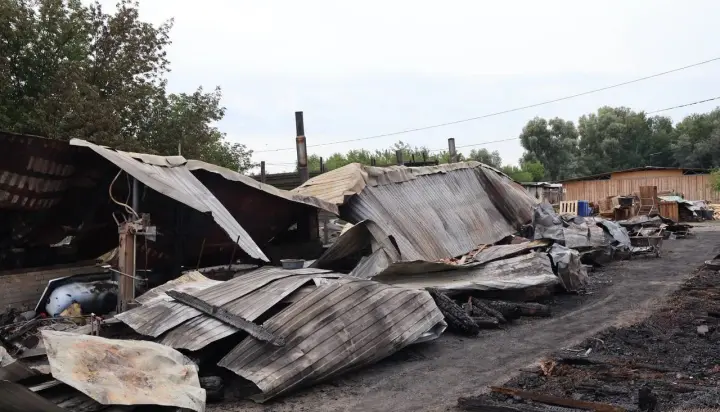 На Київщині сталася пожежа у притулку для тварин - є загиблі тварини
