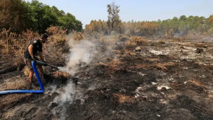 More than 400 people detained in France for setting forest fires