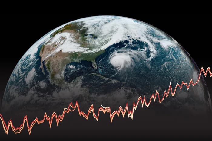 July this year was the warmest on record for the world's seas
