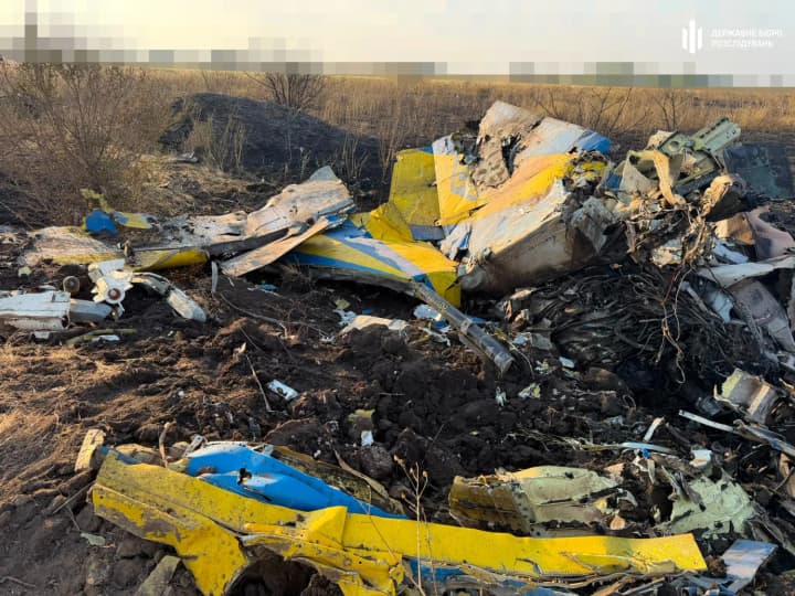 ДБР розслідує падіння МіГ-29 на Одещині - показало фото