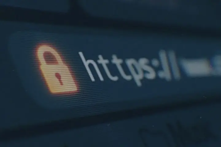 Відкликання міжнародних сертифікатів створило проблеми для російських сайтів - розвідка