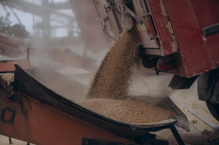 This season, Ukraine reduced wheat exports but increased corn exports