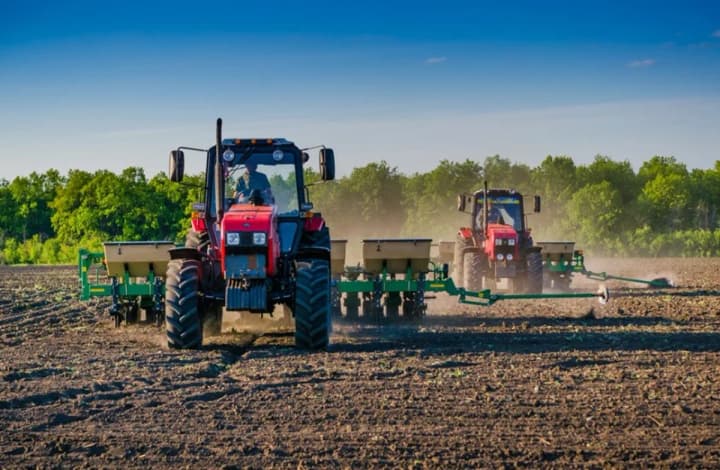 Drought amid the heat may damage crops and the sowing of winter crops - Ukrhydrometeorological Center