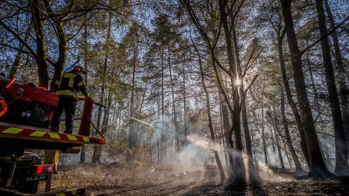 У Німеччині через лісову пожежу евакуювали понад 1800 людей, вогонь наблизився до села біля кордону з Бельгією