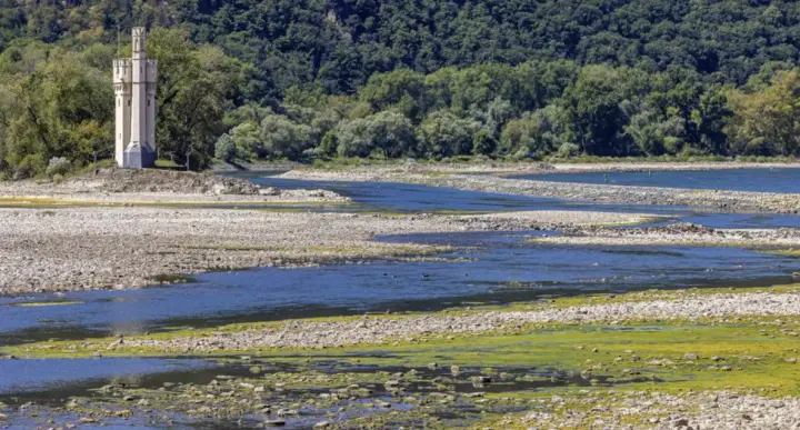 The water level in the Rhine has fallen to a historic low