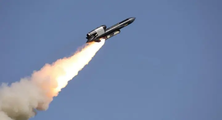 Claims about "10 out of 11 downed Flamingo missiles" are an element of Russian information and psychological operations, not a confirmed fact – military expert