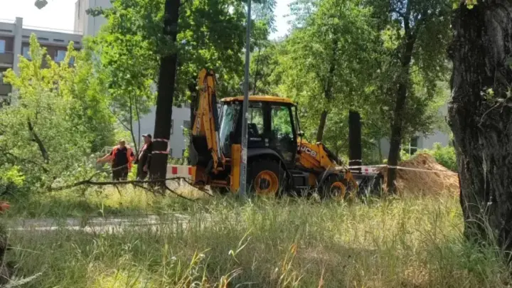Tree removal work in Teremky - the Kyiv City State Administration didn't make any decisions