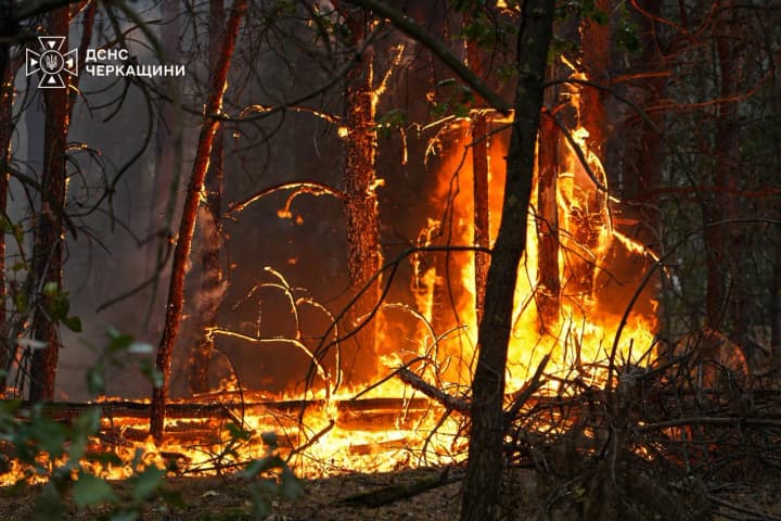 In Cherkasy region, a fire spread from a private household yard and engulfed 100 hectares of forest