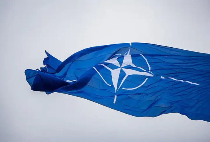 У НАТО немає чіткої "червоної лінії" для застосування статті 5 – радник президента Литви