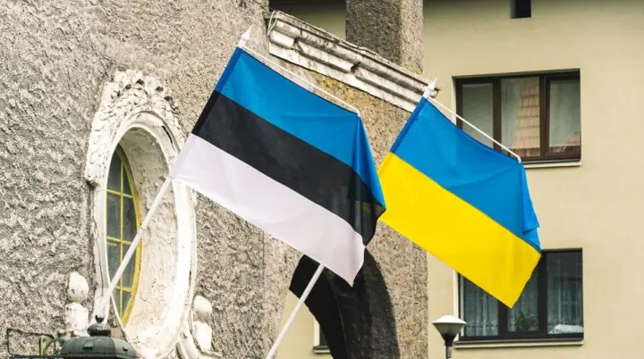Естонія додатково виділить 100 тисяч євро на підтримку енергетики України
