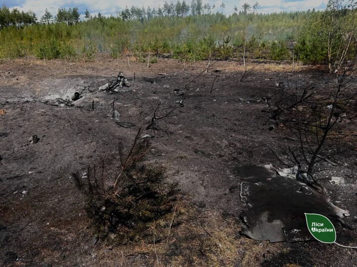 In Ukraine, 84 hectares of forest burned due to enemy attacks over the course of a week