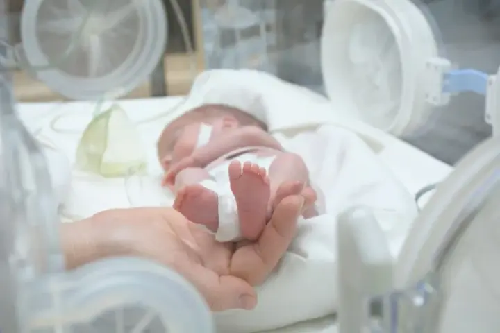 From 22 weeks: how premature babies are cared for