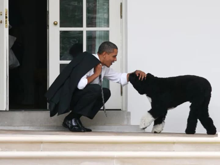 Barack Obama mourns the death of a pet who lived with the family for 13 years