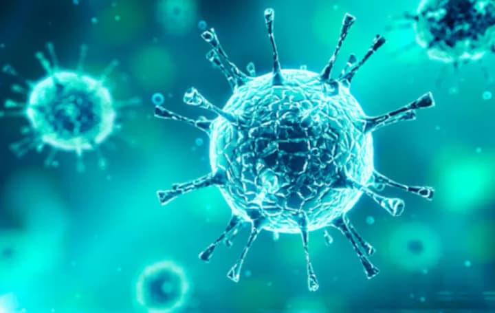 Live virus of a dangerous disease found in Russian dog vaccine
