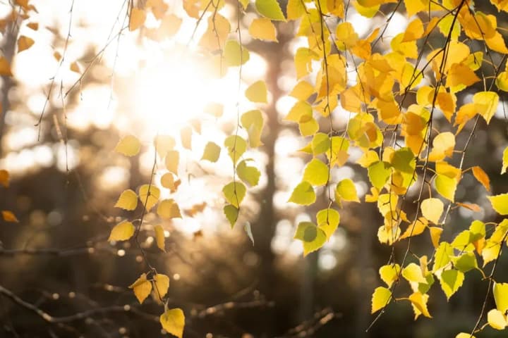 Mostly no precipitation — what the weather will be like in Ukraine over the next three days