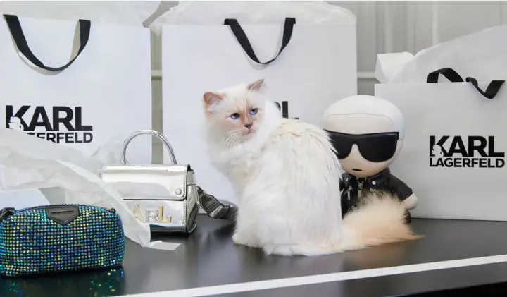 Karl Lagerfeld's beloved cat was left without his inheritance — who will share the millions