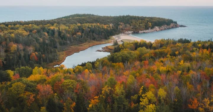 No precipitation, but fog and frost — forecasters issue a forecast for October 4
