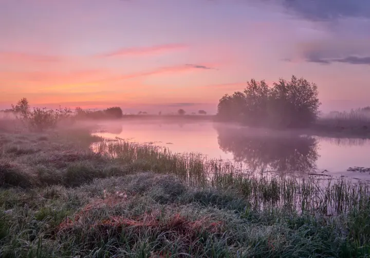 Ground frosts and fog — what weather to expect in Ukraine over the next three days