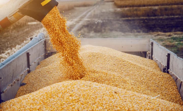 Russia is seeking new routes for grain exports after a sharp collapse via the Black Sea — intelligence
