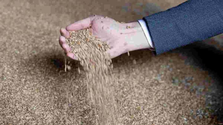 Lithuania tightens control over Russian grain and wants to stop its transit through the EU