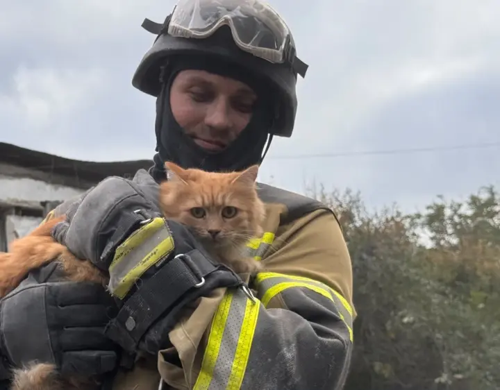 The death toll following the Russian airstrike on Zaporizhzhia has risen to 20 people — a cat was rescued from the rubble