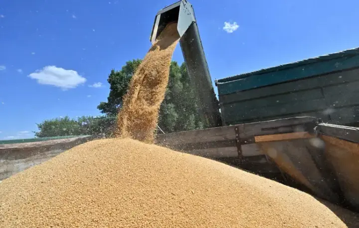 В Одесі посадовців підприємства підозрюють у допомозі рф із продажем викраденого українського зерна