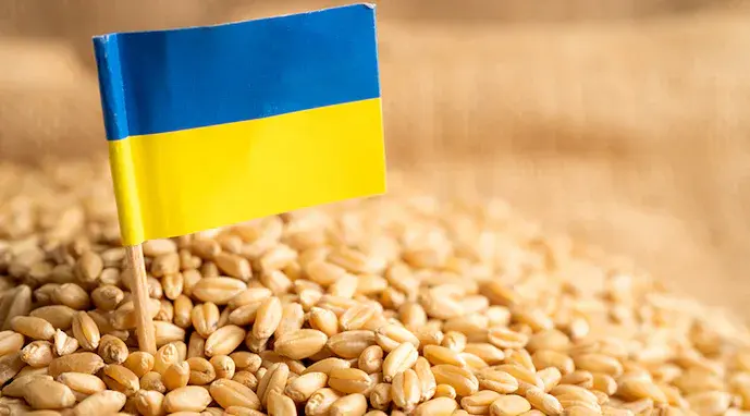 Україна, Британія та Латвія відстежуватимуть викрадене рф українське зерно