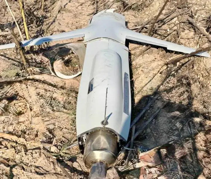 Russia's "Filin" spotted in Ukraine again - "Flash" explained why the Russian Federation is betting on cheap cruise missiles