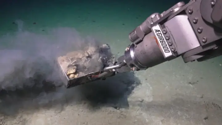 At the bottom of the ocean, scientists discovered a mysterious grave with a unique ecosystem