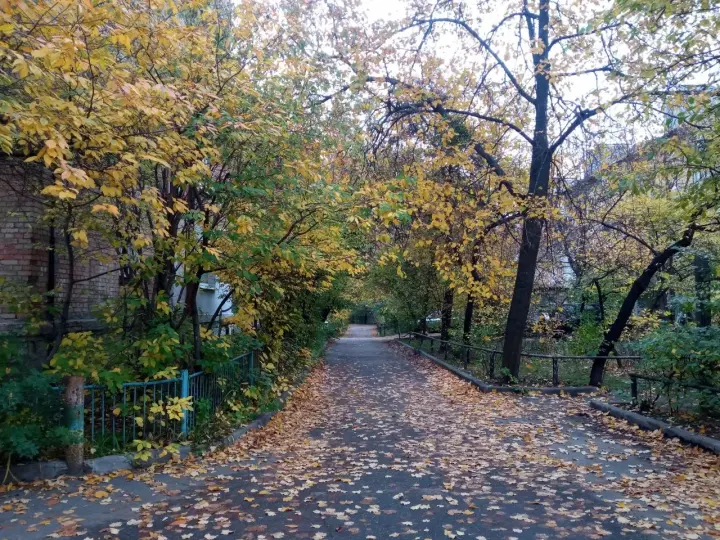 Дощі охоплять південь України, у Києві очікують хмарність