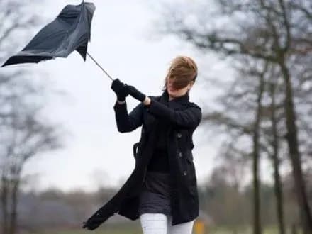 porivi-vitru-mozhut-syagati-shtormovikh-znachen