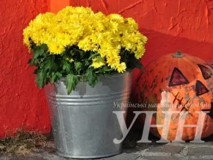 parad-veseloyi-nechisti-proyde-vulitsyami-uzhgoroda-na-halloween