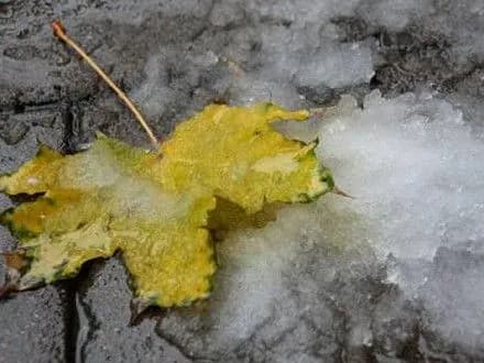 gidromettsentr-v-ukrayini-khmarno-z-proyasnennyami