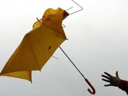 zavtra-v-deyakikh-oblastyakh-ukrayini-ochikuyutsya-porivi-vitru-15-20-m-s