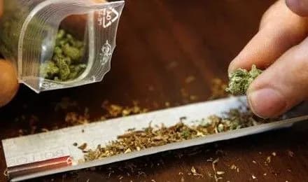 cholovika-zasudili-do-pyati-rokiv-uvyaznennya-za-zberigannya-narkotikiv-na-kiyivschini