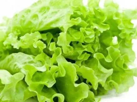 karantinniy-organizm-viyavili-u-vantazhi-salatu-z-polschi