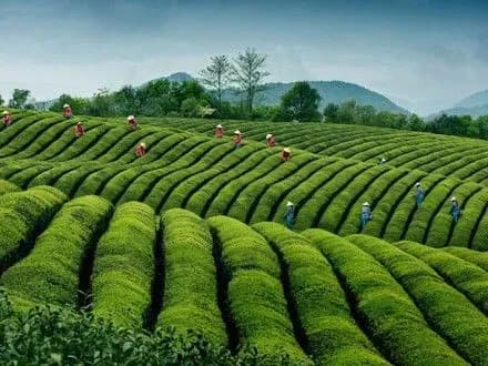 ogolosili-peremozhtsiv-siena-international-photo-awards-2016-roku