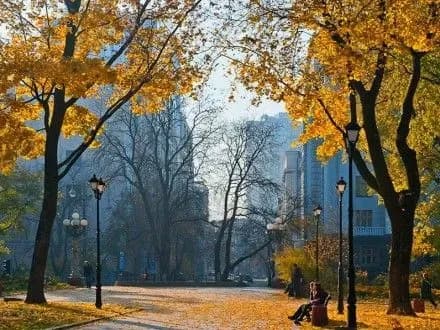 gidromettsentr-u-kiyevi-bez-opadiv-1