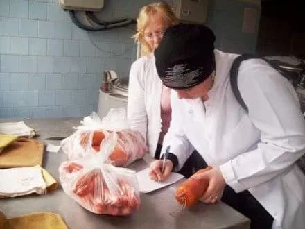 v-otruyenni-ukrayintsiv-surogatom-i-neyakisnimi-produktami-vinen-moratoriy-na-perevirki-biznesu-r-sobol